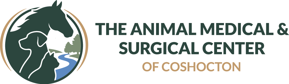 AMSC Logo