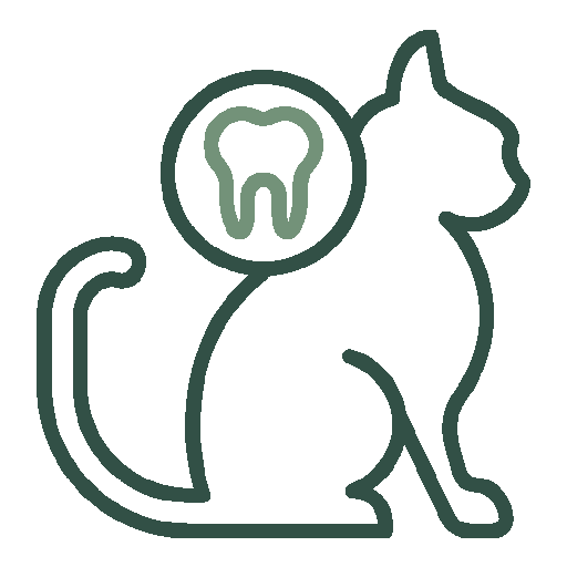 Cat Dental icon
