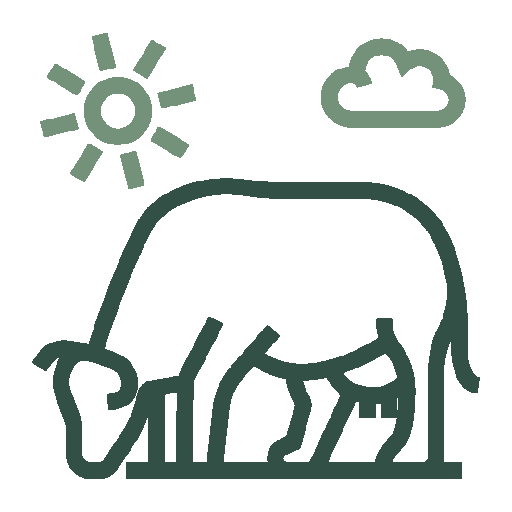Cow Icon