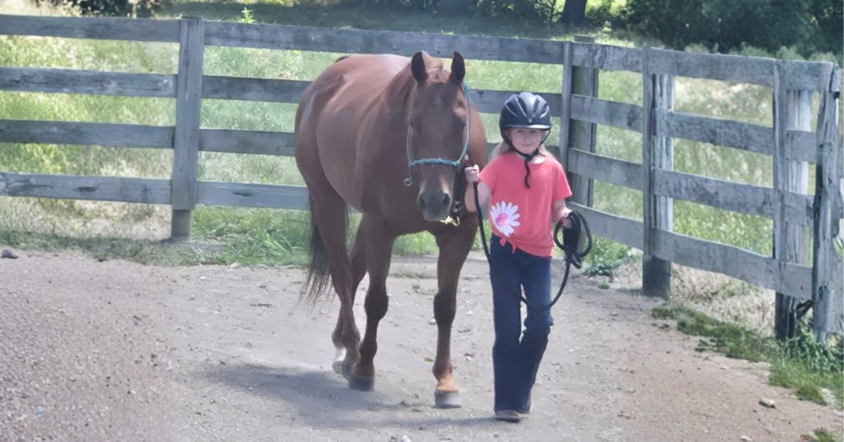 Girl leading a chestnut horse