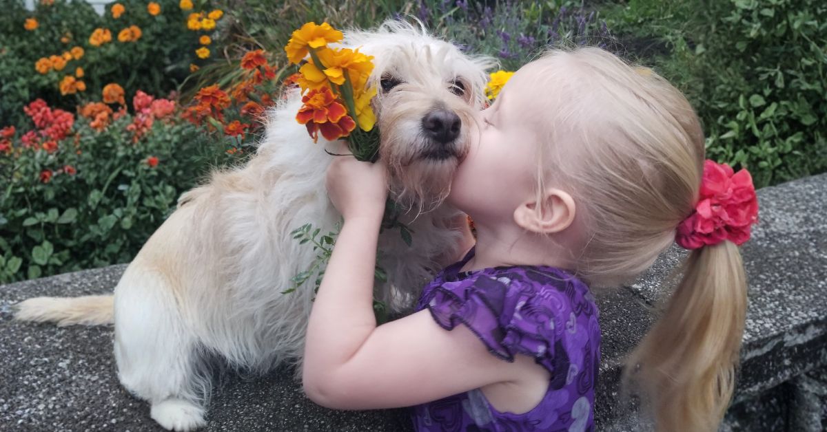 Girl with her scruffy dog in a garden