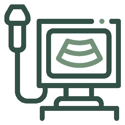 Pet Ultrasound Icon