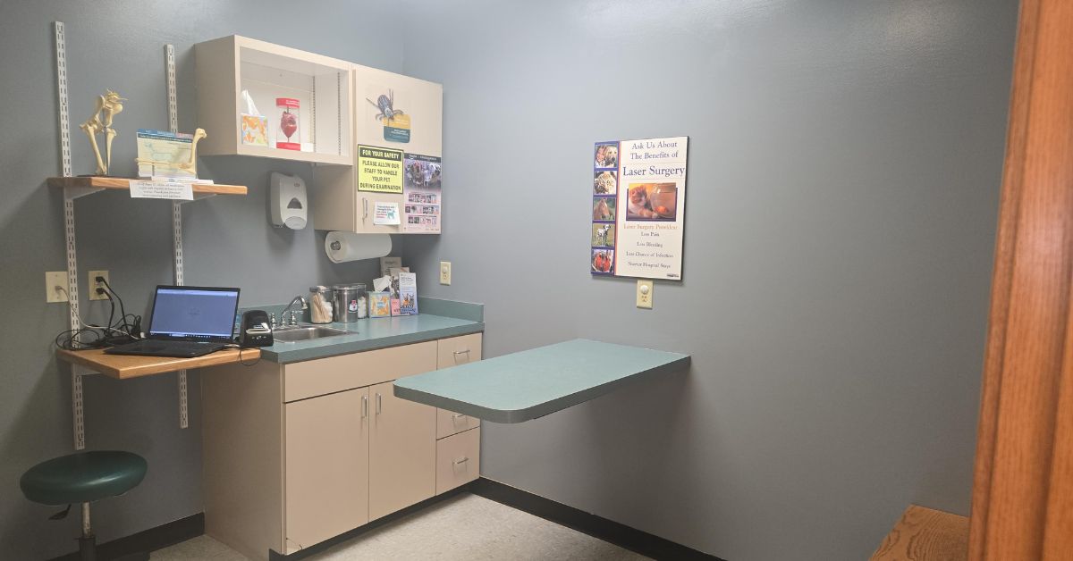 Veterinary clinic examination room