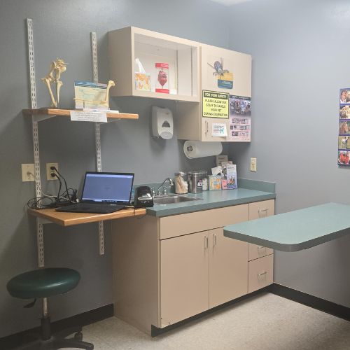 Veterinary clinic examination room