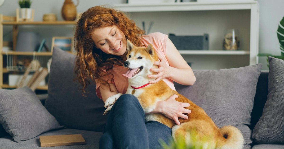 A woman with curly red hair petting a Shiba Inu dog while sitting on a gray sofa.