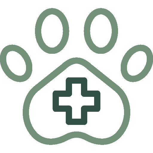 pet secure icon